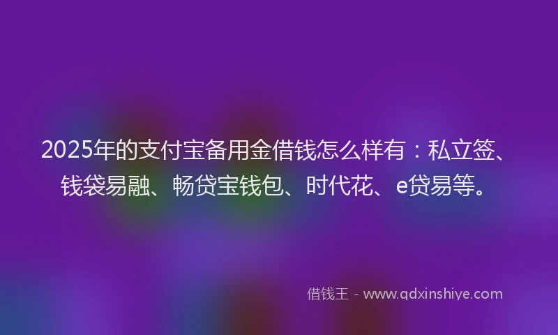 2025年的支付宝备用金借钱怎么样有：私立签、钱袋易融、畅贷宝钱包、时代花、e贷易等。