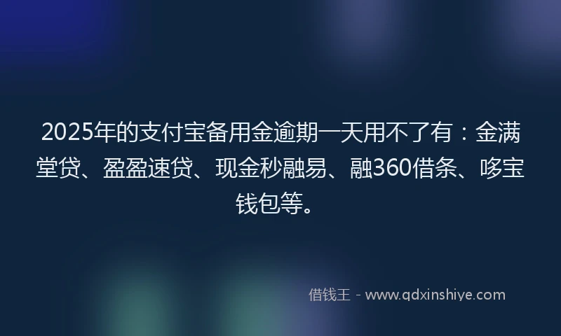 2025年的支付宝备用金逾期一天用不了有：金满堂贷、盈盈速贷、现金秒融易、融360借条、哆宝钱包等。
