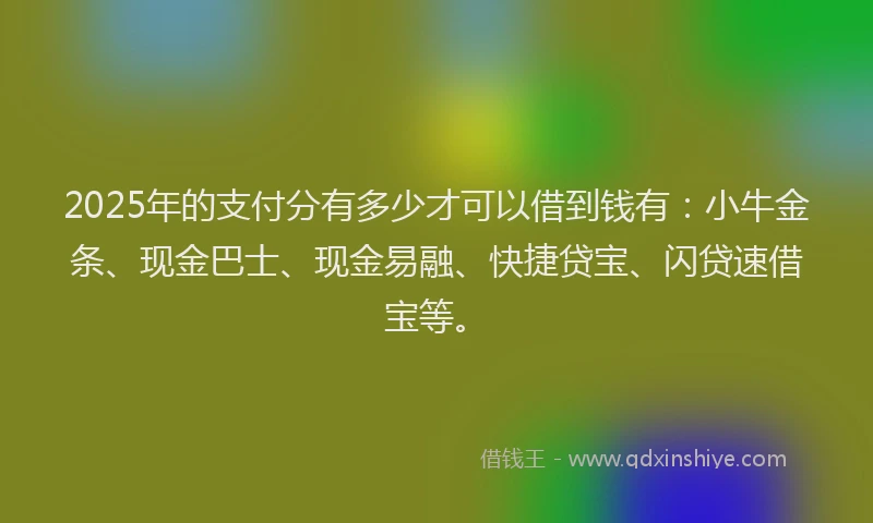 2025年的支付分有多少才可以借到钱有：小牛金条、现金巴士、现金易融、快捷贷宝、闪贷速借宝等。