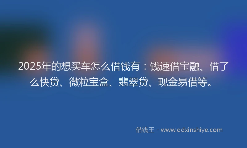 2025年的想买车怎么借钱有：钱速借宝融、借了么快贷、微粒宝盒、翡翠贷、现金易借等。