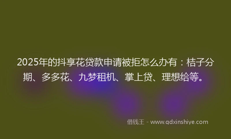 2025年的抖享花贷款申请被拒怎么办有：桔子分期、多多花、九梦租机、掌上贷、理想给等。