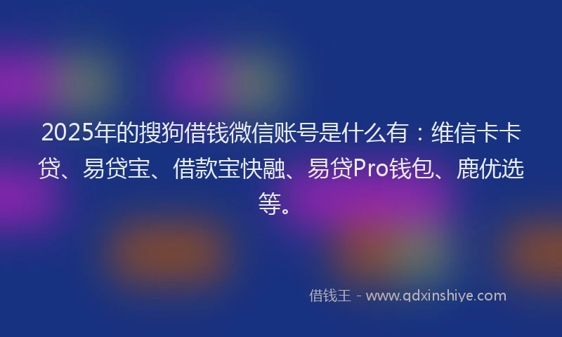 2025年的搜狗借钱微信账号是什么有：维信卡卡贷、易贷宝、借款宝快融、易贷Pro钱包、鹿优选等。