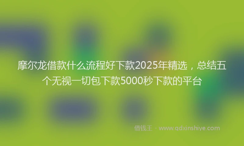 摩尔龙借款什么流程好下款2025年精选，总结五个无视一切包下款5000秒下款的平台
