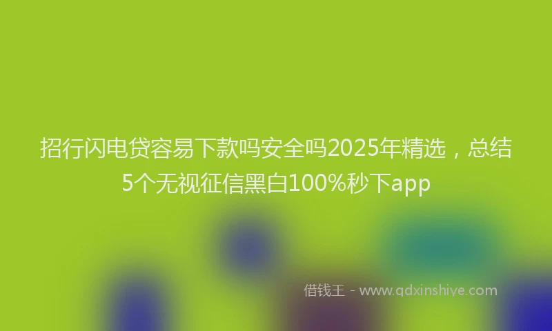 招行闪电贷容易下款吗安全吗2025年精选，总结5个无视征信黑白100%秒下app