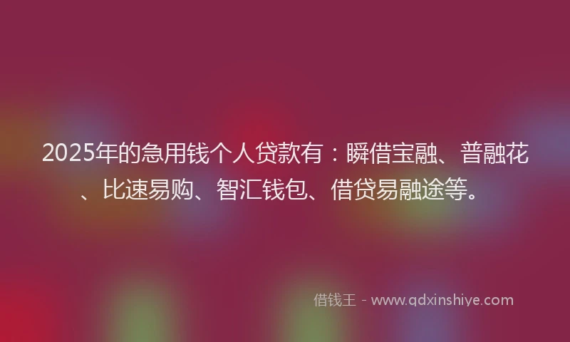 2025年的急用钱个人贷款有：瞬借宝融、普融花、比速易购、智汇钱包、借贷易融途等。