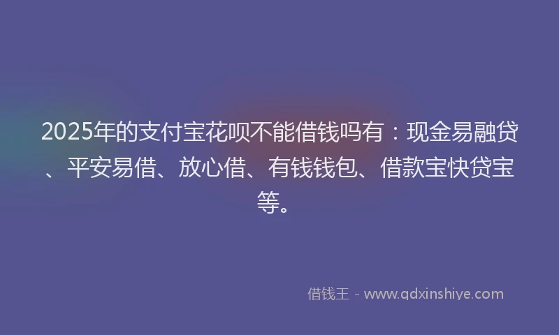 2025年的支付宝花呗不能借钱吗有：现金易融贷、平安易借、放心借、有钱钱包、借款宝快贷宝等。
