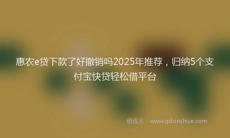 惠农e贷下款了好撤销吗2025年推荐，归纳5个支付宝快贷轻松借平台