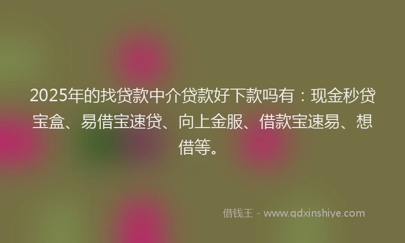 2025年的找贷款中介贷款好下款吗有：现金秒贷宝盒、易借宝速贷、向上金服、借款宝速易、想借等。