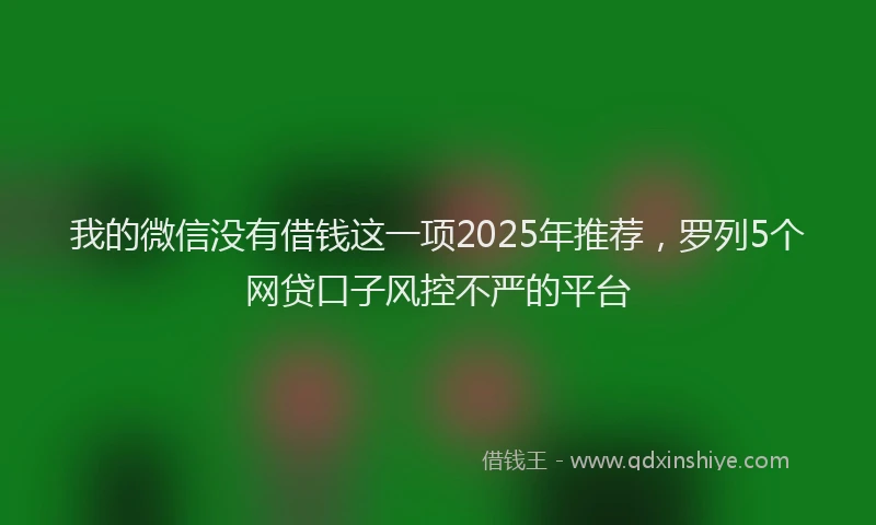 我的微信没有借钱这一项2025年推荐，罗列5个网贷口子风控不严的平台