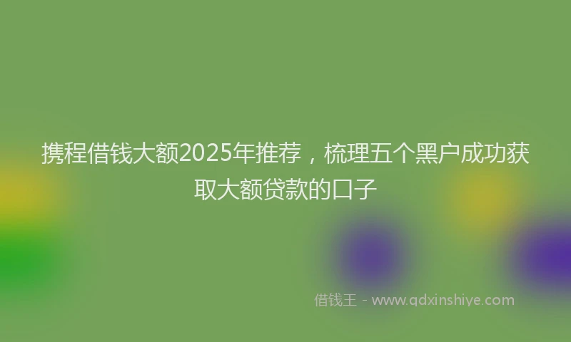 携程借钱大额2025年推荐，梳理五个黑户成功获取大额贷款的口子