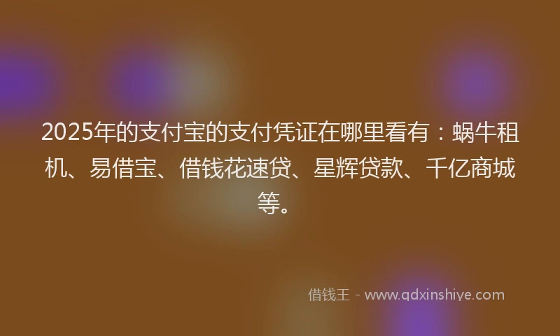 2025年的支付宝的支付凭证在哪里看有：蜗牛租机、易借宝、借钱花速贷、星辉贷款、千亿商城等。