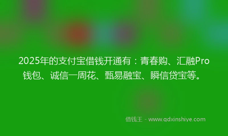 2025年的支付宝借钱开通有：青春购、汇融Pro钱包、诚信一周花、甄易融宝、瞬信贷宝等。