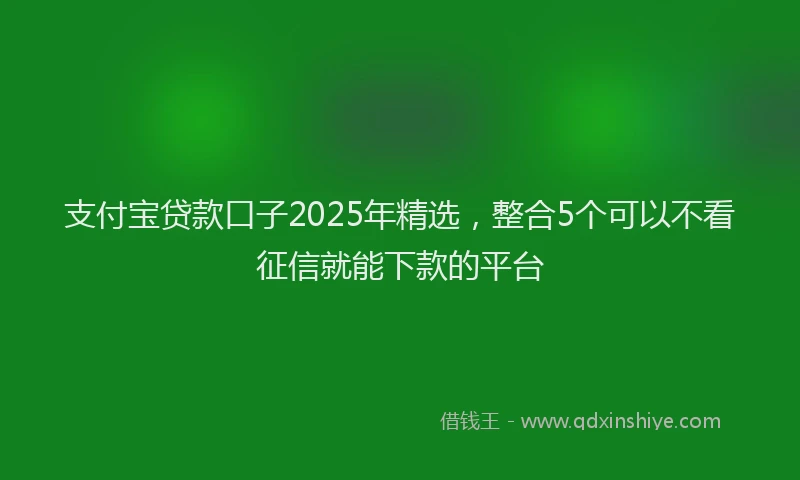 支付宝贷款口子2025年精选，整合5个可以不看征信就能下款的平台