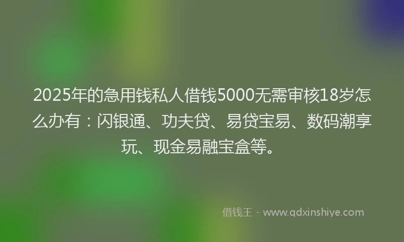 2025年的急用钱私人借钱5000无需审核18岁怎么办有：闪银通、功夫贷、易贷宝易、数码潮享玩、现金易融宝盒等。