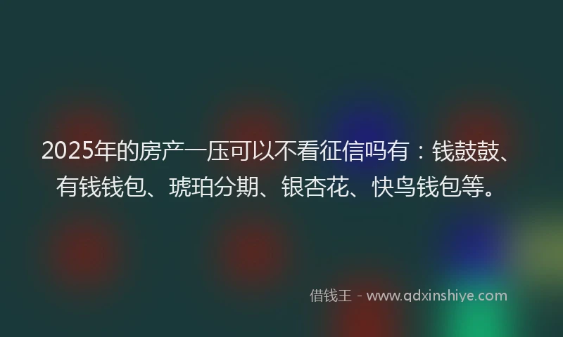2025年的房产一压可以不看征信吗有：钱鼓鼓、有钱钱包、琥珀分期、银杏花、快鸟钱包等。