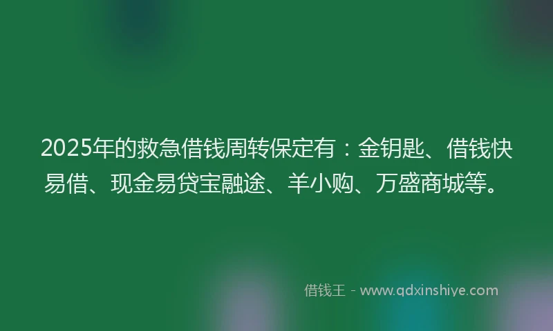 2025年的救急借钱周转保定有：金钥匙、借钱快易借、现金易贷宝融途、羊小购、万盛商城等。