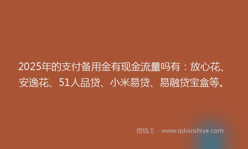2025年的支付备用金有现金流量吗有：放心花、安逸花、51人品贷、小米易贷、易融贷宝盒等。