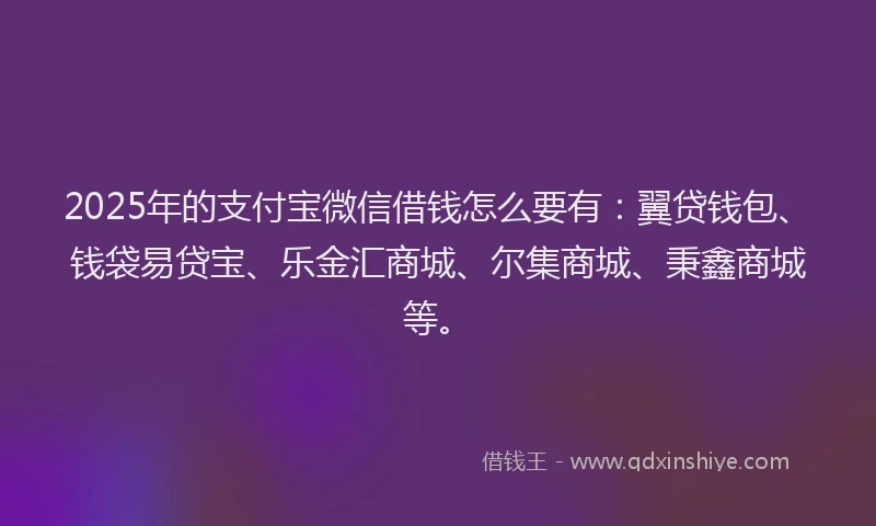 2025年的支付宝微信借钱怎么要有：翼贷钱包、钱袋易贷宝、乐金汇商城、尔集商城、秉鑫商城等。