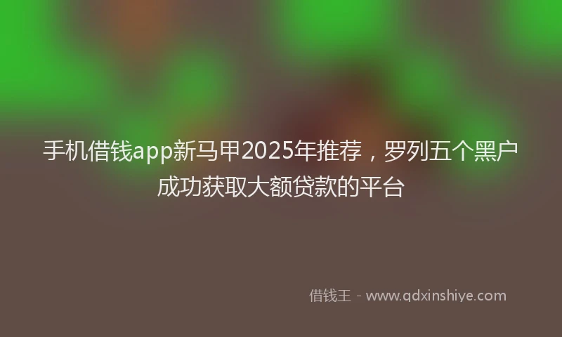 手机借钱app新马甲2025年推荐，罗列五个黑户成功获取大额贷款的平台