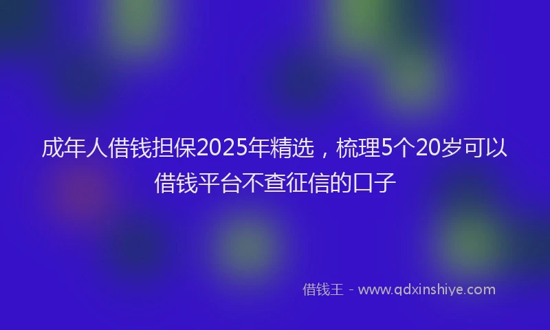 成年人借钱担保2025年精选，梳理5个20岁可以借钱平台不查征信的口子
