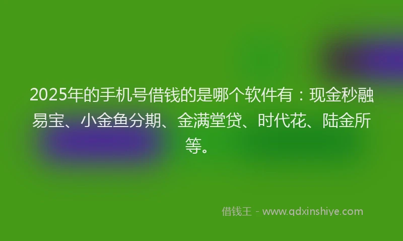 2025年的手机号借钱的是哪个软件有：现金秒融易宝、小金鱼分期、金满堂贷、时代花、陆金所等。