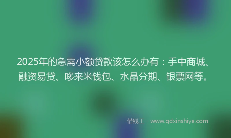 2025年的急需小额贷款该怎么办有：手中商城、融资易贷、哆来米钱包、水晶分期、银票网等。