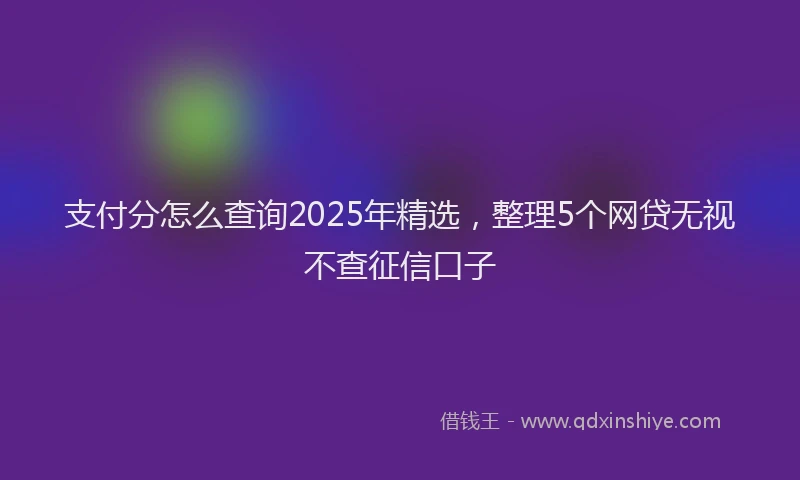 支付分怎么查询2025年精选，整理5个网贷无视不查征信口子