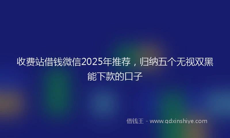 收费站借钱微信2025年推荐，归纳五个无视双黑能下款的口子