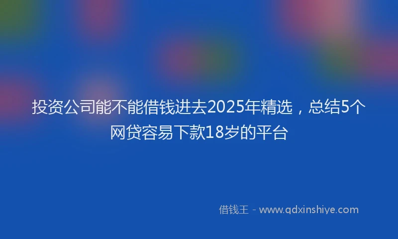 投资公司能不能借钱进去2025年精选，总结5个网贷容易下款18岁的平台