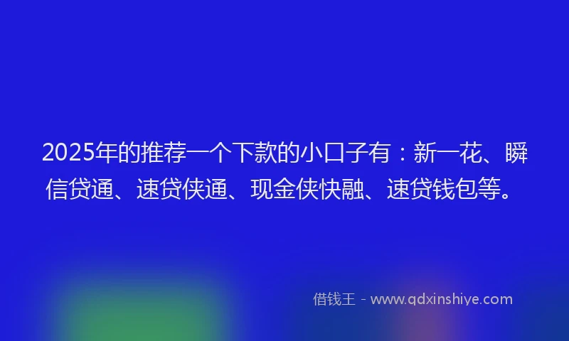 2025年的推荐一个下款的小口子有：新一花、瞬信贷通、速贷侠通、现金侠快融、速贷钱包等。