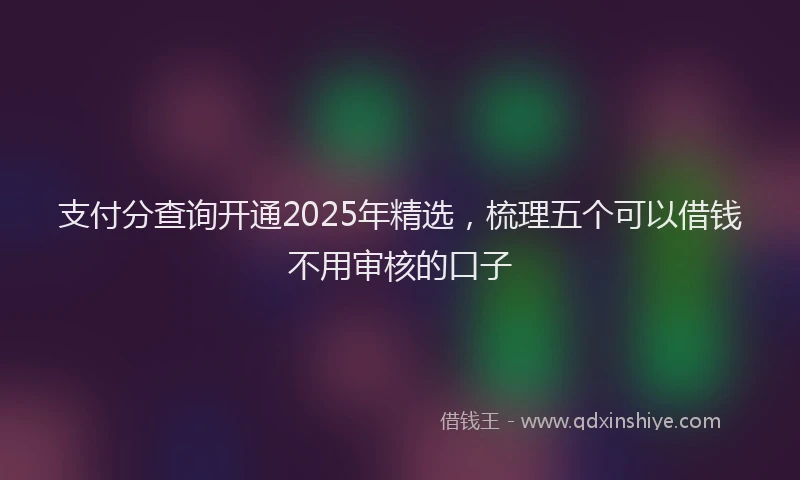 支付分查询开通2025年精选，梳理五个可以借钱不用审核的口子