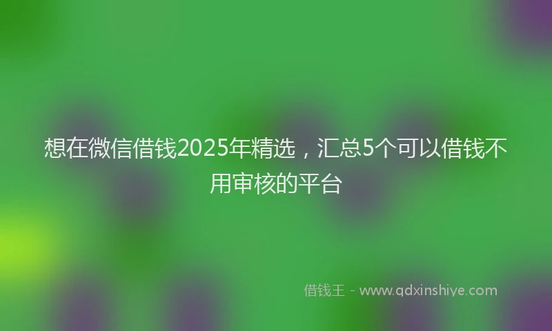 想在微信借钱2025年精选，汇总5个可以借钱不用审核的平台