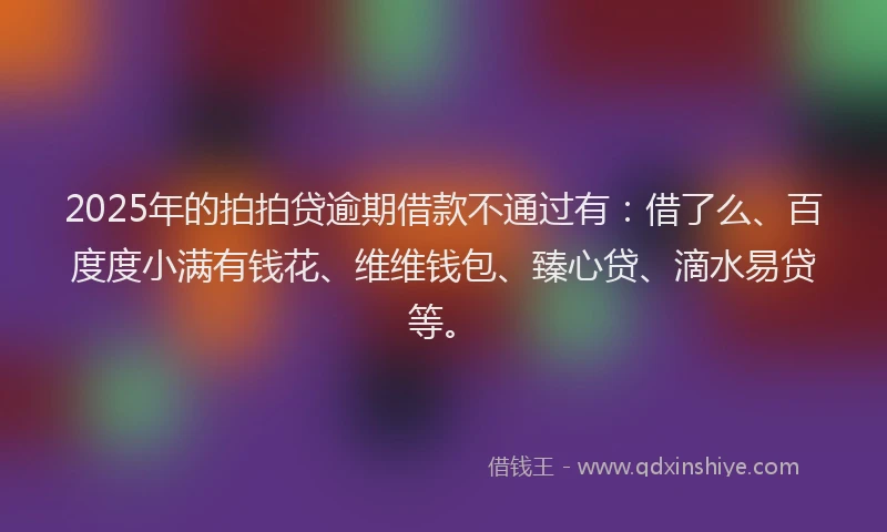 2025年的拍拍贷逾期借款不通过有：借了么、百度度小满有钱花、维维钱包、臻心贷、滴水易贷等。
