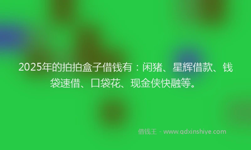 2025年的拍拍盒子借钱有：闲猪、星辉借款、钱袋速借、口袋花、现金侠快融等。