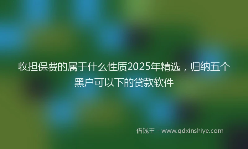 收担保费的属于什么性质2025年精选，归纳五个黑户可以下的贷款软件