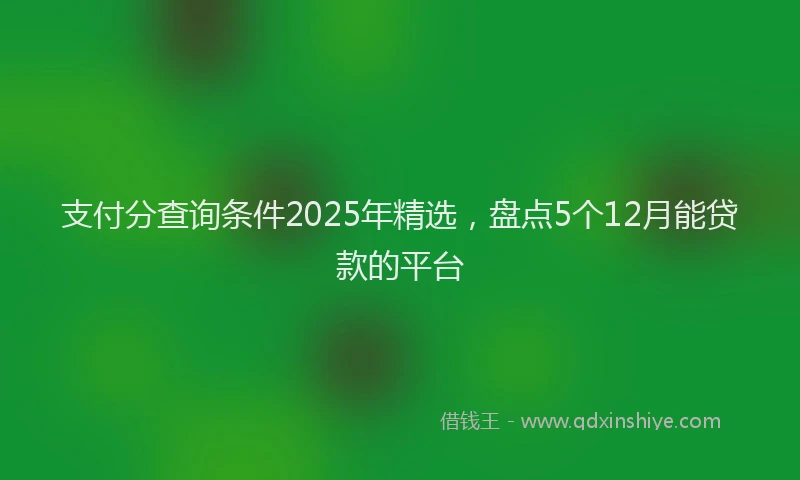 支付分查询条件2025年精选，盘点5个12月能贷款的平台