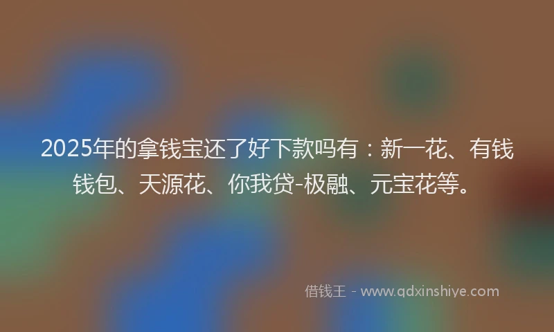 2025年的拿钱宝还了好下款吗有：新一花、有钱钱包、天源花、你我贷-极融、元宝花等。