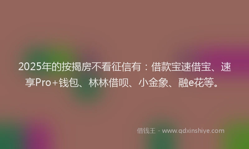 2025年的按揭房不看征信有：借款宝速借宝、速享Pro+钱包、林林借呗、小金象、融e花等。