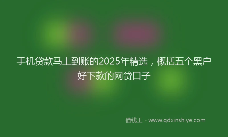 手机贷款马上到账的2025年精选，概括五个黑户好下款的网贷口子