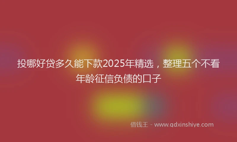 投哪好贷多久能下款2025年精选，整理五个不看年龄征信负债的口子