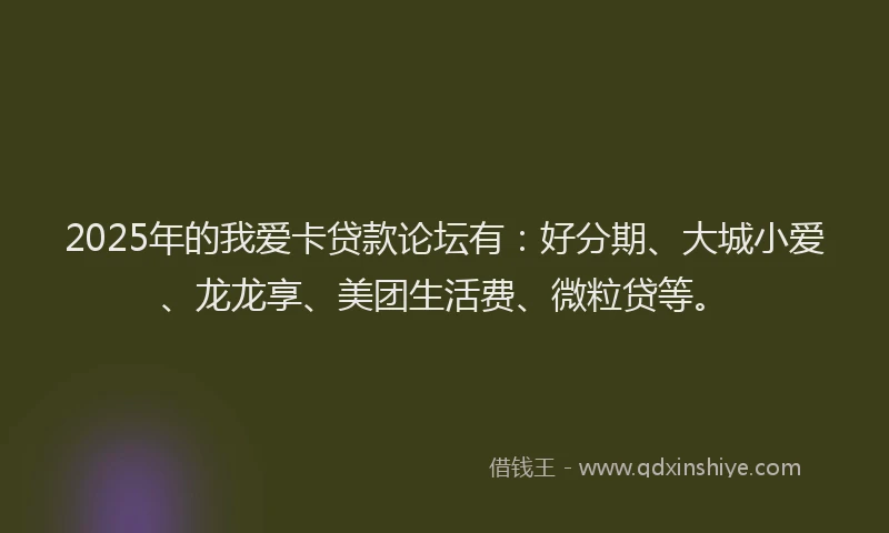 2025年的我爱卡贷款论坛有：好分期、大城小爱、龙龙享、美团生活费、微粒贷等。