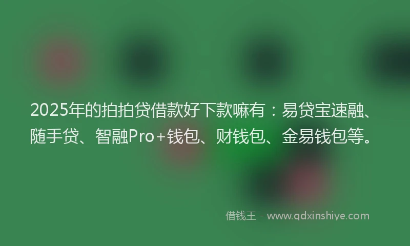 2025年的拍拍贷借款好下款嘛有：易贷宝速融、随手贷、智融Pro+钱包、财钱包、金易钱包等。