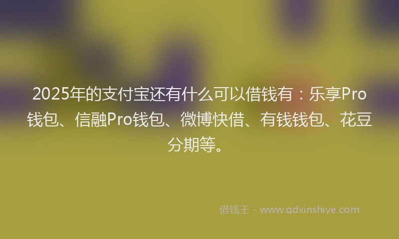 2025年的支付宝还有什么可以借钱有：乐享Pro钱包、信融Pro钱包、微博快借、有钱钱包、花豆分期等。