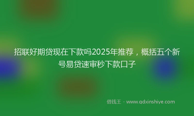 招联好期贷现在下款吗2025年推荐，概括五个新号易贷速审秒下款口子