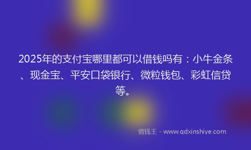 2025年的支付宝哪里都可以借钱吗有：小牛金条、现金宝、平安口袋银行、微粒钱包、彩虹信贷等。