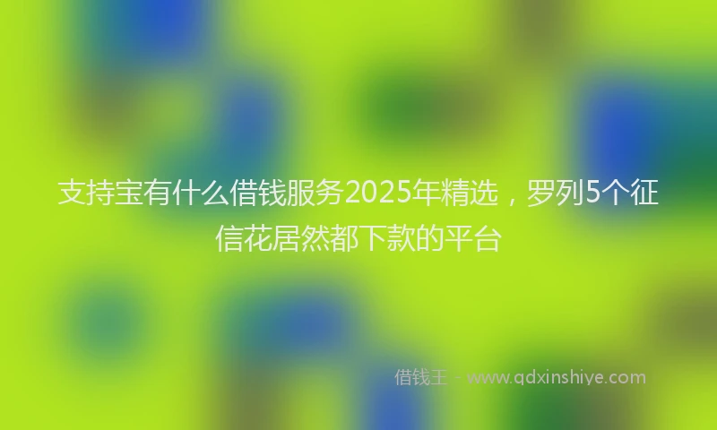支持宝有什么借钱服务2025年精选，罗列5个征信花居然都下款的平台