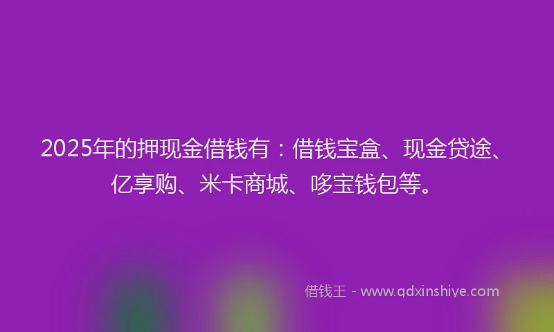 2025年的押现金借钱有：借钱宝盒、现金贷途、亿享购、米卡商城、哆宝钱包等。