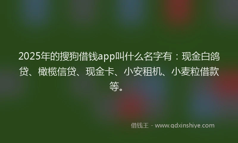 2025年的搜狗借钱app叫什么名字有：现金白鸽贷、橄榄信贷、现金卡、小安租机、小麦粒借款等。