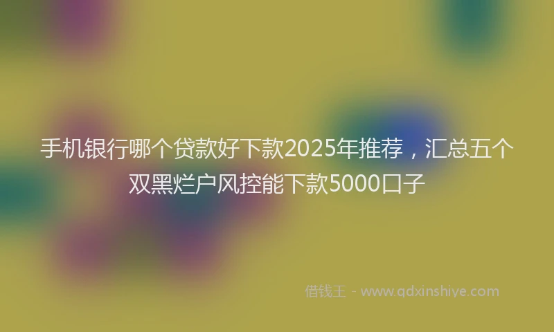 手机银行哪个贷款好下款2025年推荐，汇总五个双黑烂户风控能下款5000口子
