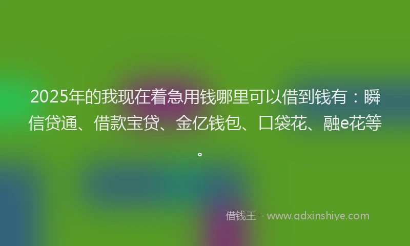 2025年的我现在着急用钱哪里可以借到钱有：瞬信贷通、借款宝贷、金亿钱包、口袋花、融e花等。